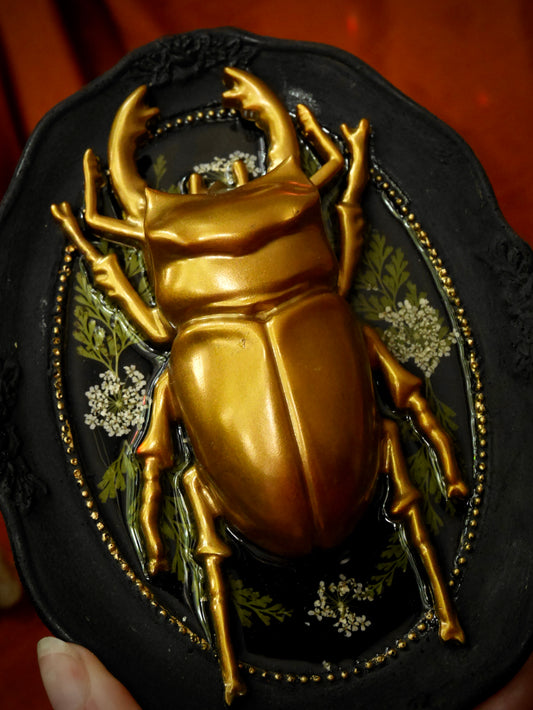Gold Beetle Ornate Frame Wall Art