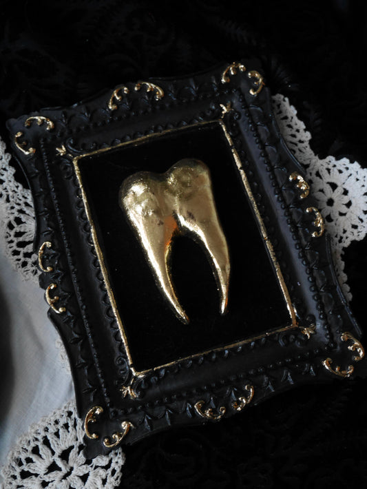 Gold Tooth Wall Sculpture – Anatomy Collection