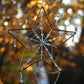 Glass Beaded Spiderweb Sun Catcher - Star
