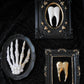 Tooth Wall Sculpture – Anatomy Collection