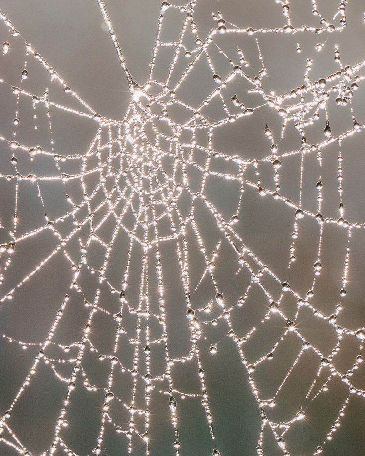 Glass Beaded Spiderweb Sun Catcher - Star