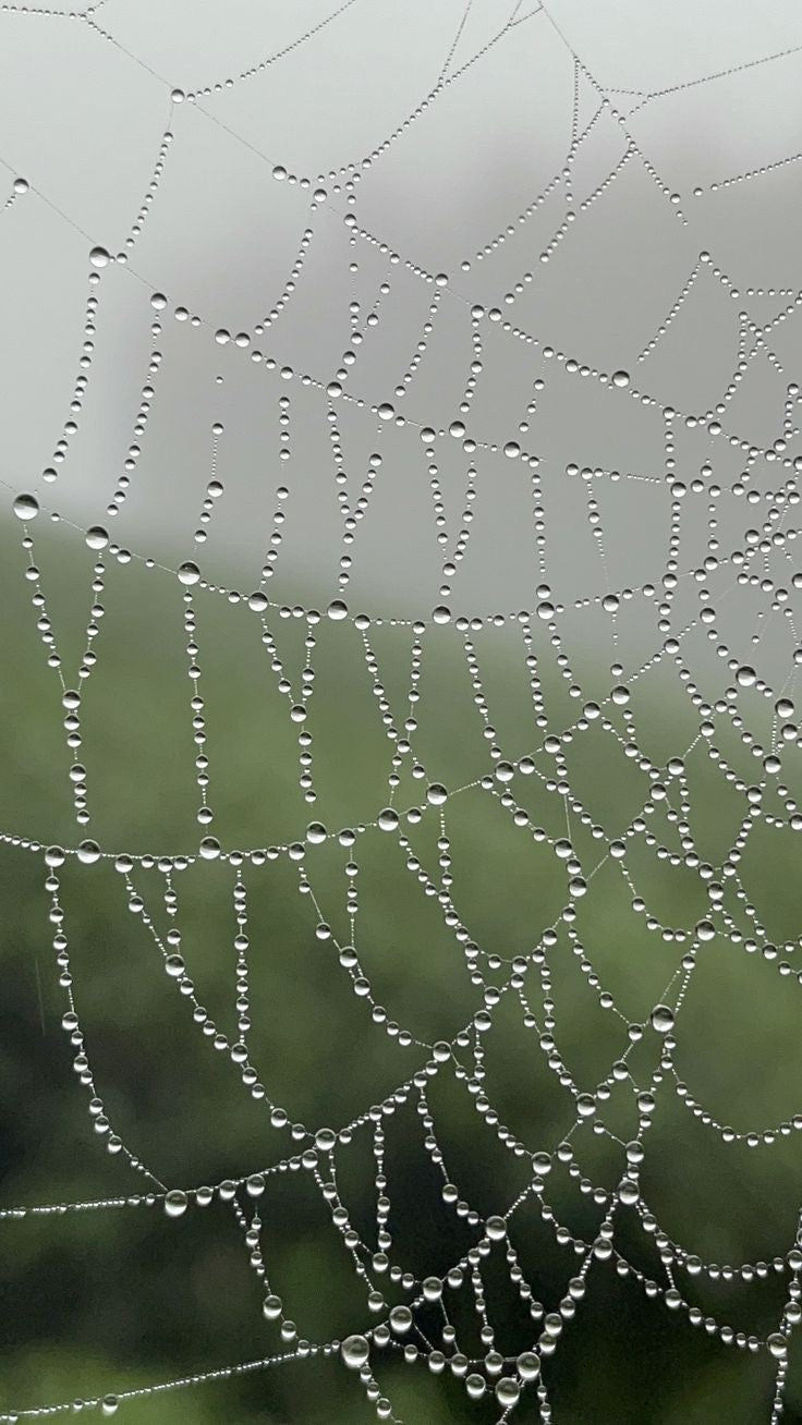 Glass Beaded Spiderweb Sun Catcher - Round