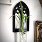 Cathedral Arch Propagation Vase