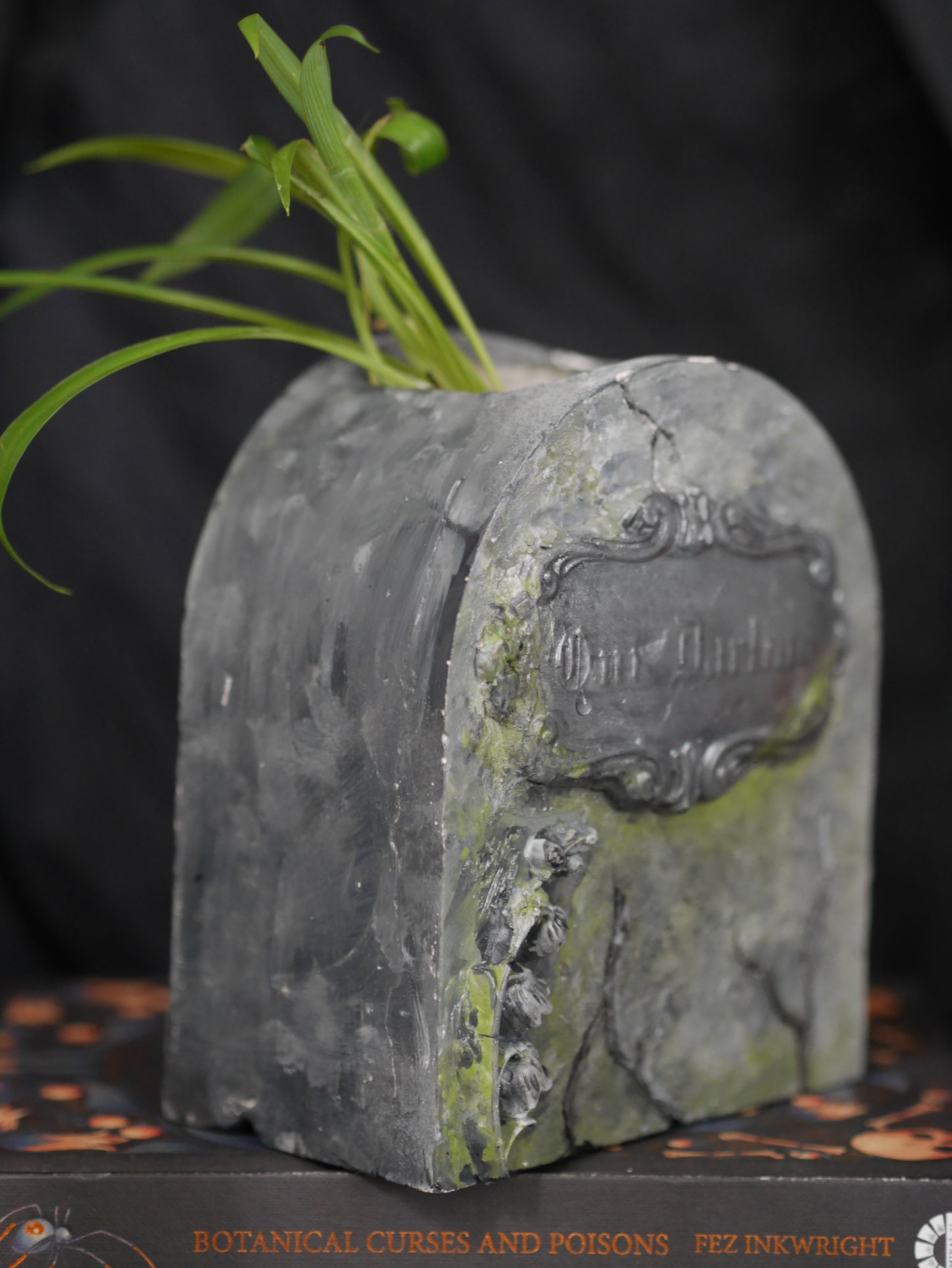 *Prototype* Gravestone Propagation Vase