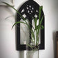 Cathedral Arch Propagation Vase